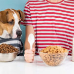 Enfermedad celíaca en humanos y la mascota sin gluten