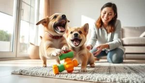 Cómo entrenar a tu perro: consejos prácticos para un aprendizaje efectivo