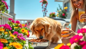 La importancia de la comida húmeda para mascotas en verano